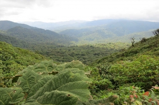 Costa Rica - ein Naturparadies erleben