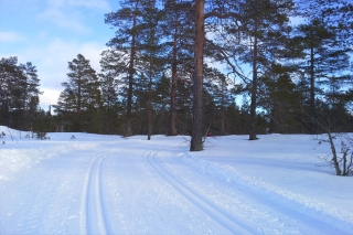 Finnland - Finlandia Hiihto Ski-Marathon