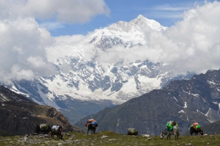 Tibet - unterwegs auf dem Dach der Welt