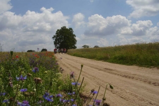 Polen & Litauen – Natur-, Kultur- & Fahrradreise