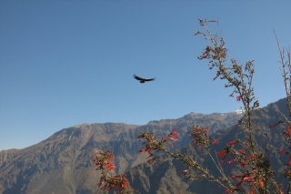 Erlebnis- und Trekkingreisen in Peru - auf alten Inkapfaden bis zum Machu Picchu