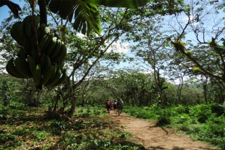 Kuba - Wandern in den schönsten Bergregionen