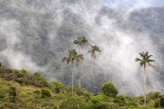 Kolumbien - Trekking zur verlorenen Stadt Ciudad Perdida und kulturelle Highlights