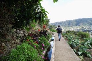 Portugal - Wanderreise und Baden auf den Inseln Madeira und Porto Santo