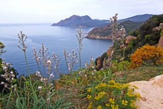 Frankreich - unterwegs auf der wohl schönsten Insel im Mittelmeer