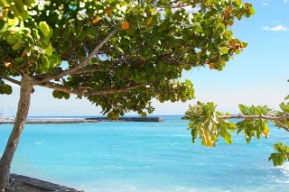 La Réunion - Natur- und Wanderreise über eine paradiesische Insel