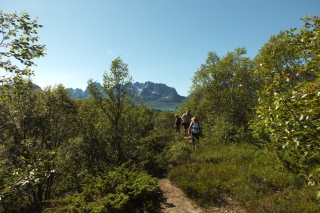 Norwegen - Wanderreise nördlich des Polarkreises