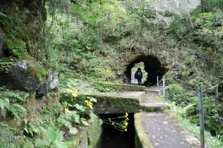 Portugal - Wanderreise und Baden auf den Inseln Madeira und Porto Santo