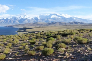 Tibet - unterwegs auf dem Dach der Welt