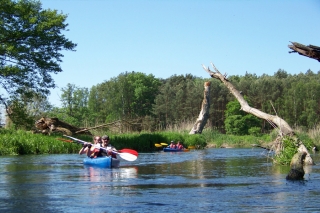 Polen - unterwegs durch tiefe Wälder und auf stillen Seen