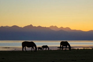 Kirgisistan - im Land des Tien Shan