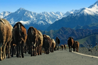 Kirgisistan - im Land des Tien Shan