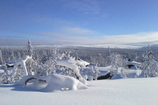 Skilanglauf auf dem Golsfjell