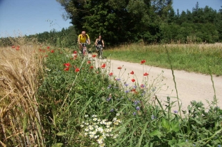 Polen & Litauen – Natur-, Kultur- & Fahrradreise